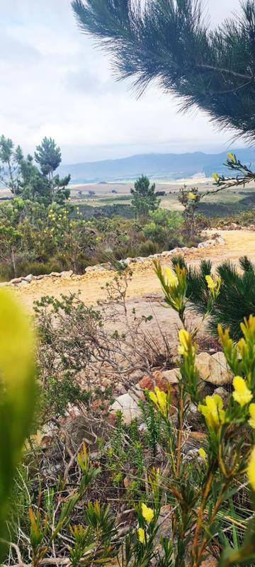 בוטרביר Avani Lodge Private Nature Reserve מראה חיצוני תמונה