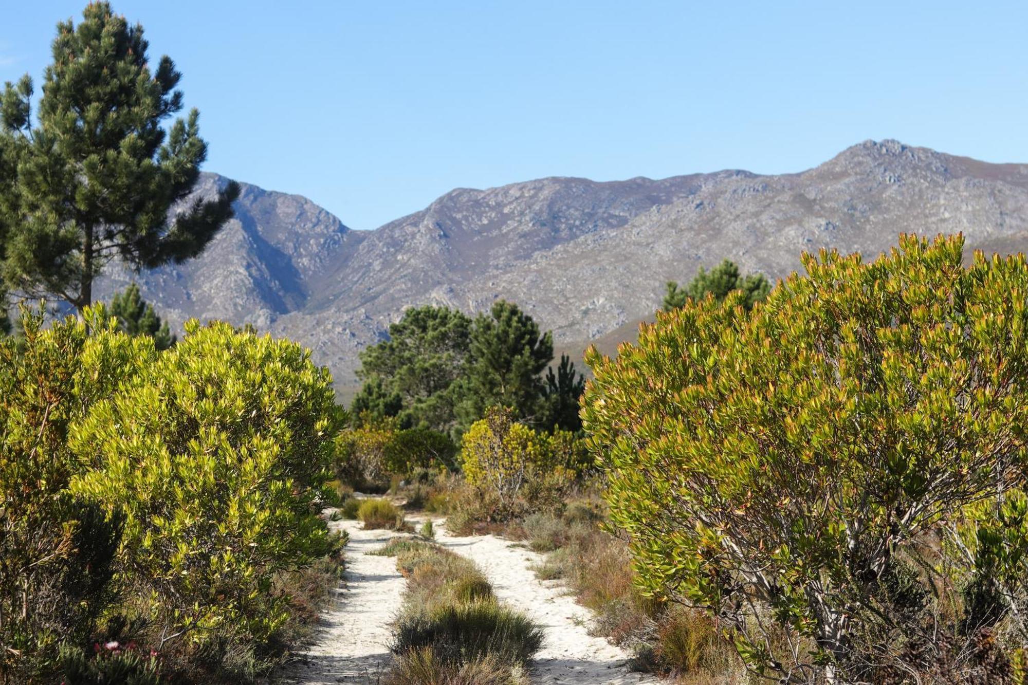 בוטרביר Avani Lodge Private Nature Reserve מראה חיצוני תמונה